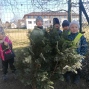 IMG_20250306_104643