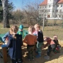 IMG_20250306_110759