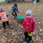 IMG_20241024_110204