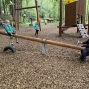IMG_2517