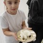 IMG_20241211_132834