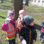 IMG_20250403_104232