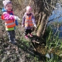 IMG_20250403_105910