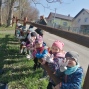IMG_20250403_110107