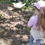 IMG_20250521_132448